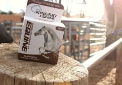 Equine Kinesio hipoalergiczna i wodoodporna taśma dla koni 5 cm x 5 m brązowa